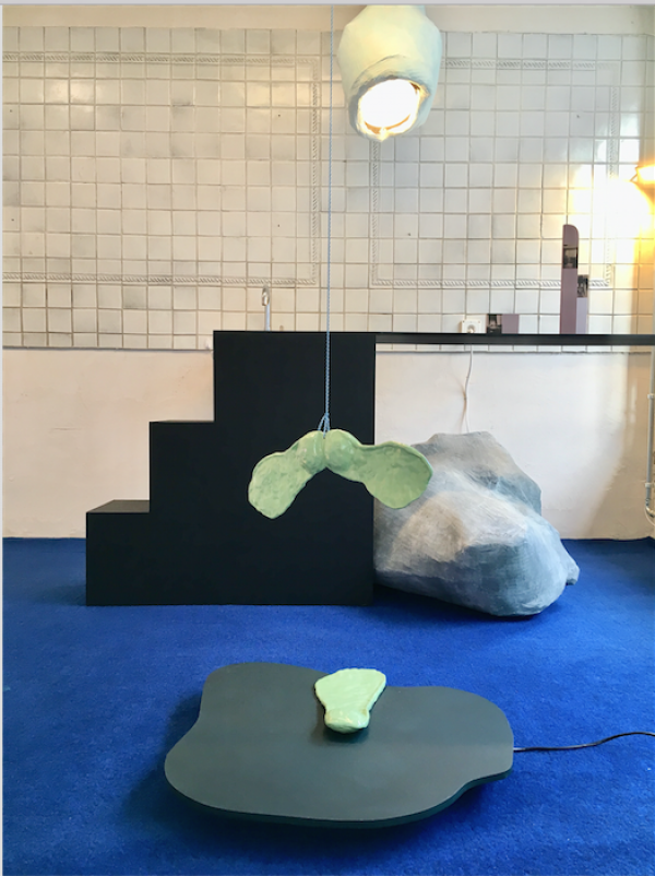 Gebrauchsanweisung für Felsen, Installationsansicht, Foto Leonie Brandner