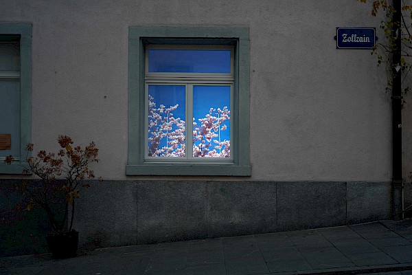 Videostill: Susanne Hofer