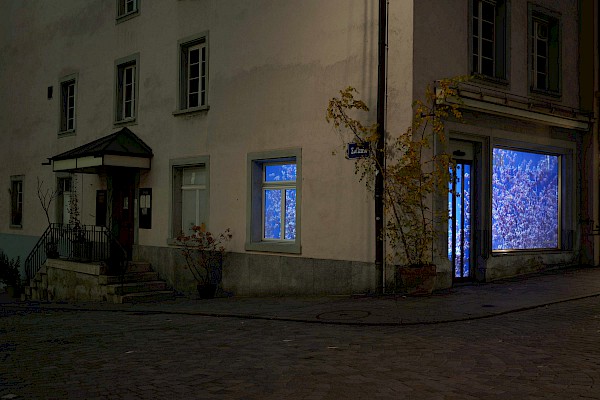 Videostill: Susanne Hofer