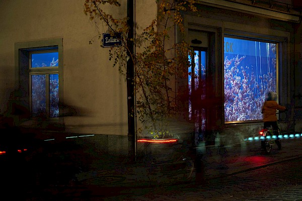 Videostill: Susanne Hofer