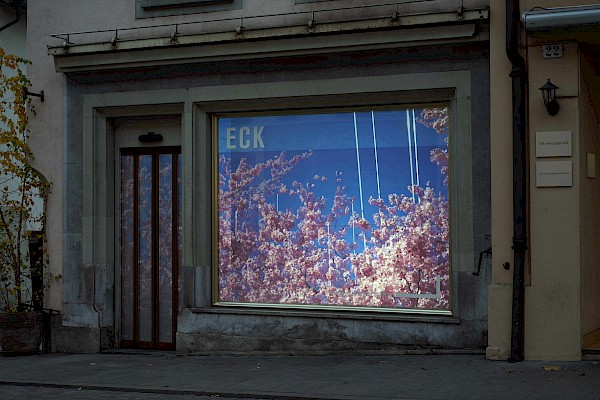 Videostill: Susanne Hofer