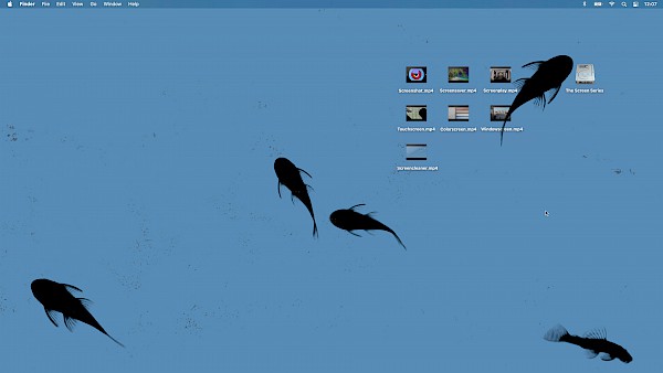 Timo Ullmann, Screencleaner, 2021