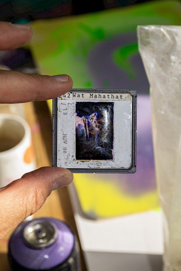 Dia nach Myzelografie-Anwendung, Jonas Studer, 2022