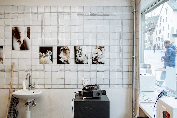 Fotografien von Pilzkulturen von Pearlie Frisch