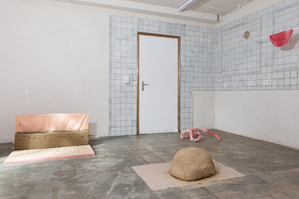 Ausstellungsansicht Tanja Kalt «PREKÄR», Foto Rachel Bühlmann