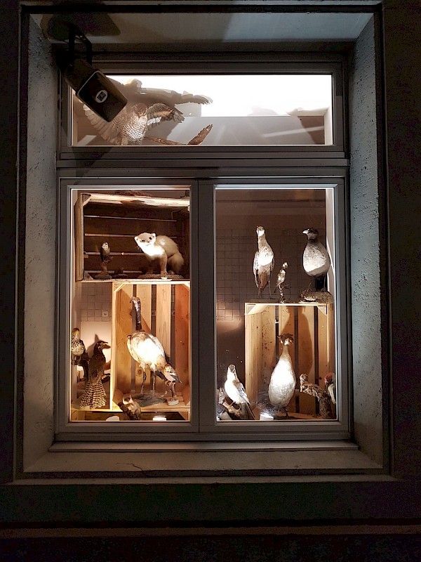 Fenster West, Foto Peter Kuntner