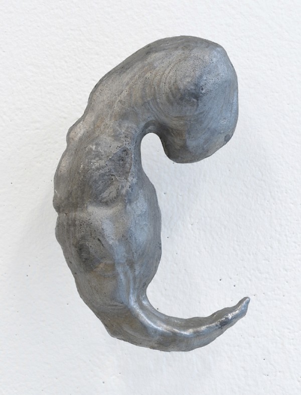 Mara Röllin, Zellen